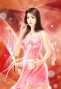 总设计师