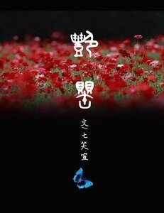 豔罌